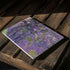Claude Monet Nympheas, 1916-19 Surface Laptop 2 Skin